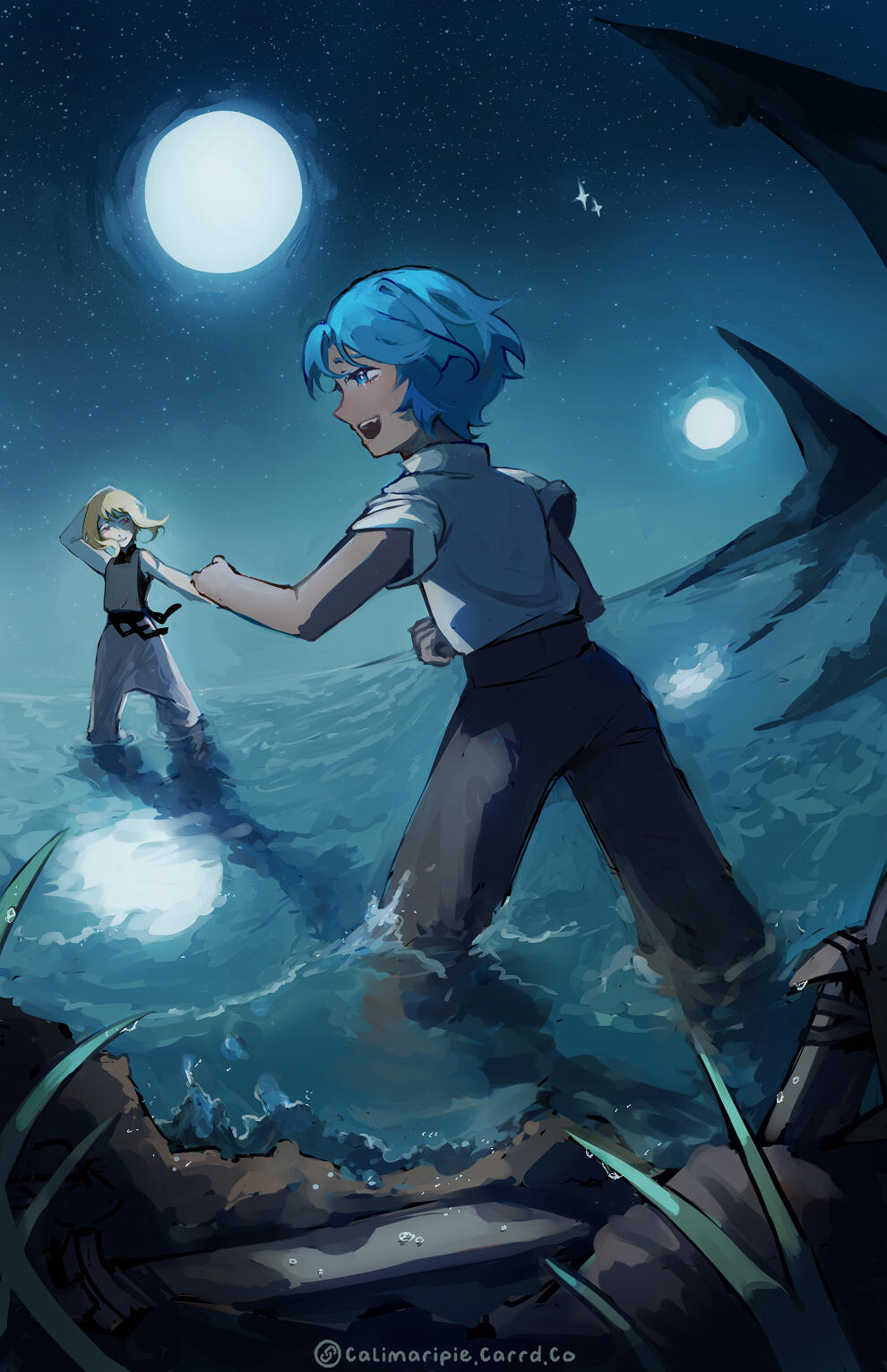 Starlit Night